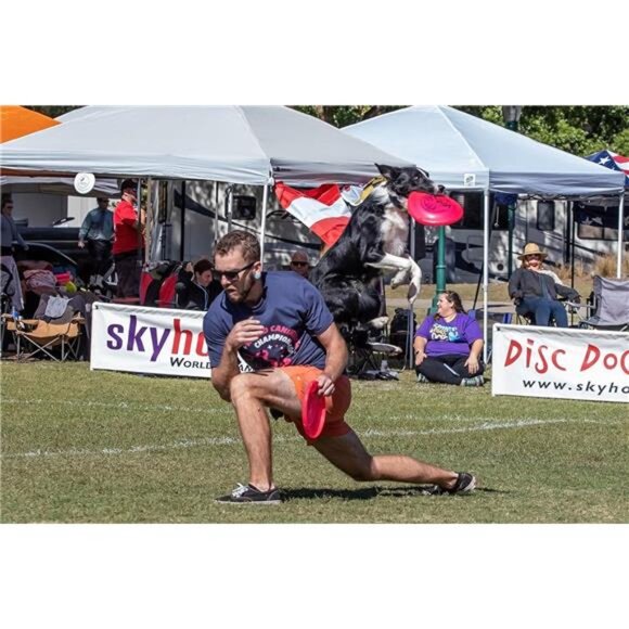 Flying Puncture-Resistant Spot Competition Dog Disc, Mango, 8.75-Inch, All Breed - Picture 6 of 7